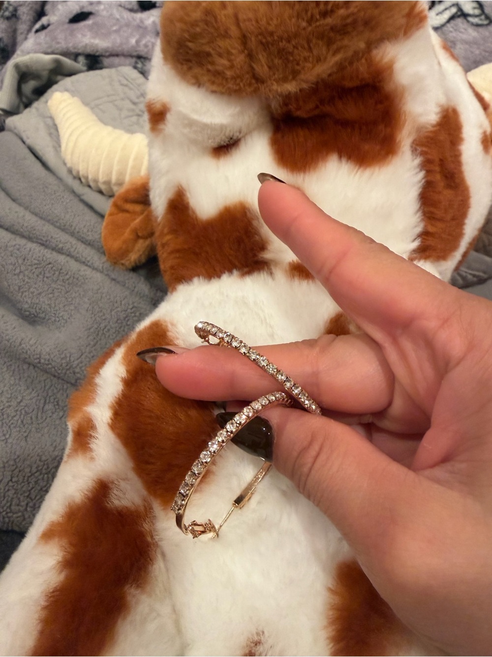 Two sets of hoop earrings